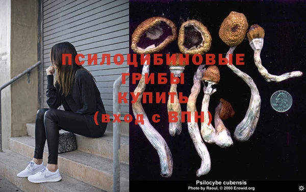 крисы Алексеевка