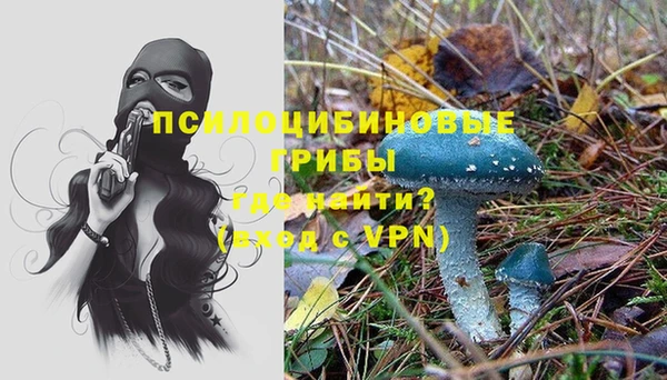 кокаин колумбия Алексин